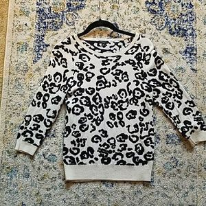Ann Taylor Sweater 3/4 sleeve